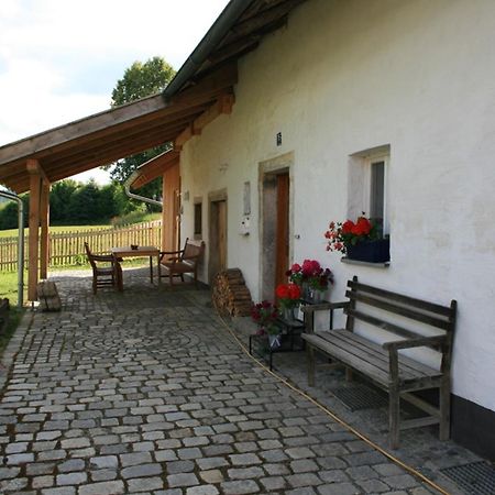 Ferienhaus Winter Blaibach エクステリア 写真