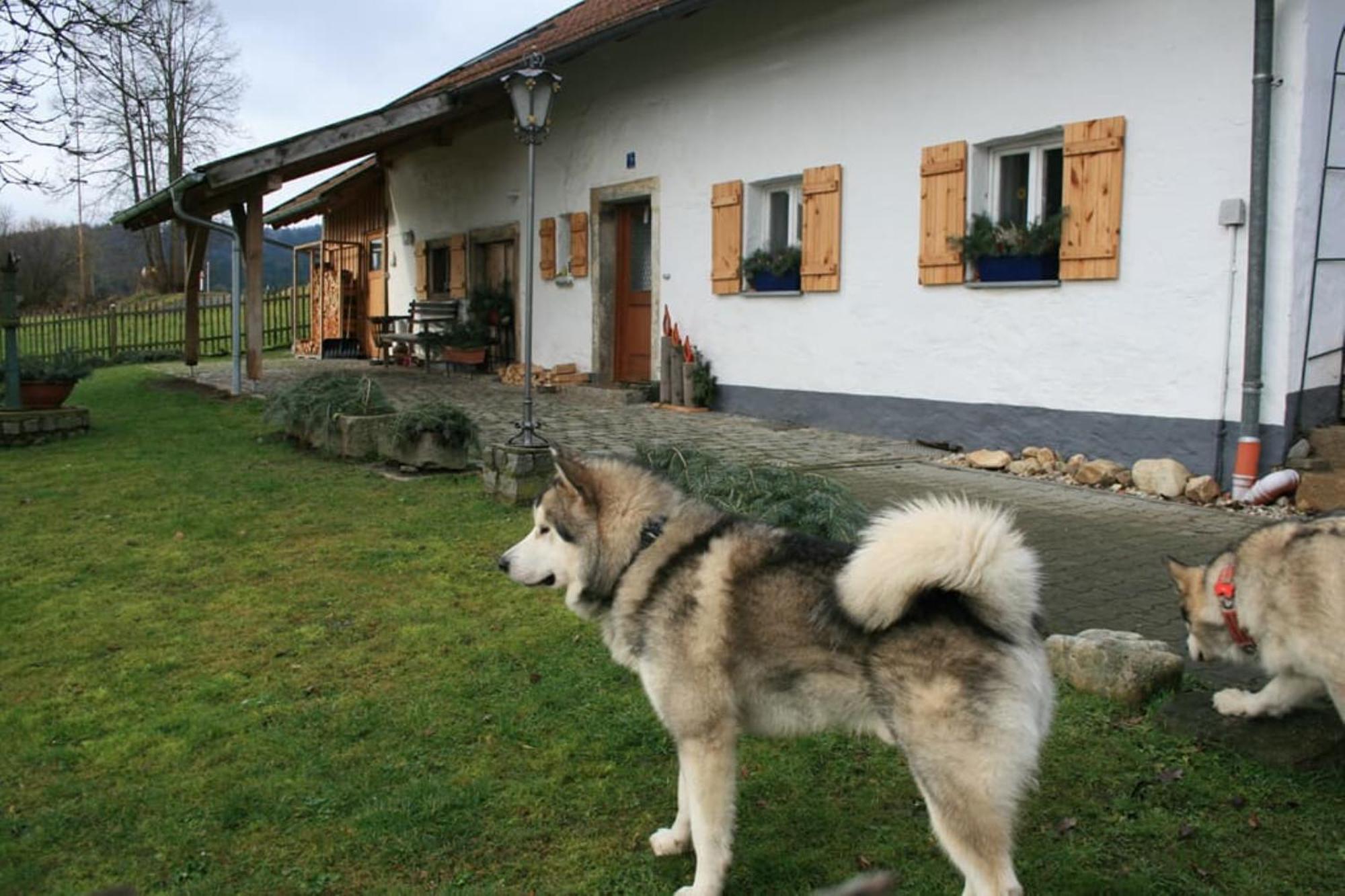 Ferienhaus Winter Blaibach エクステリア 写真