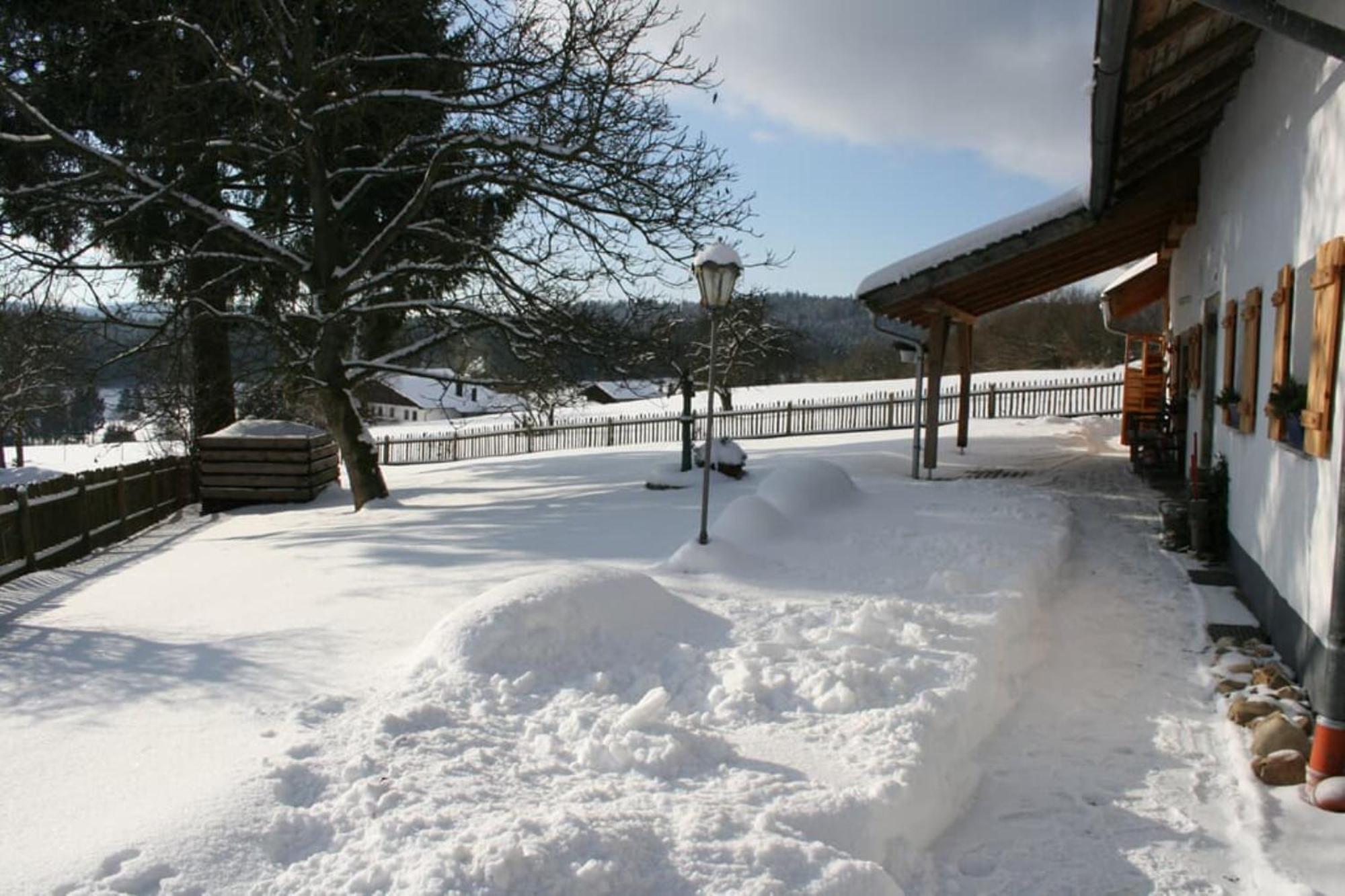Ferienhaus Winter Blaibach エクステリア 写真